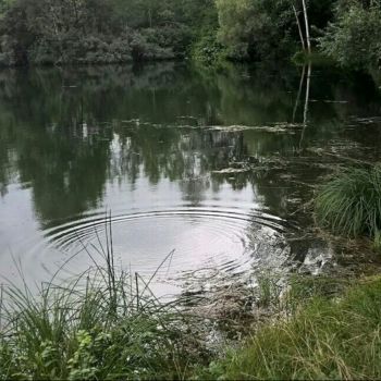 Fotografie mit dem Titel "Idyllisch" von Brigitte Schäfer, Original-Kunstwerk