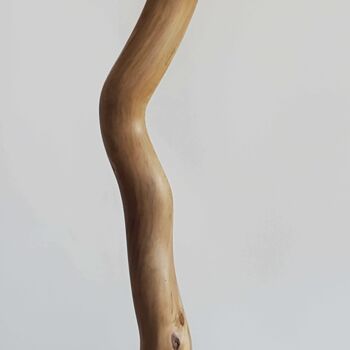 雕塑 标题为“Up” 由Cécile Devezeaux De Lavergne, 原创艺术品, 木