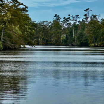 Fotografia intitolato "Still Waters" da Charlotte Daigle, Opera d'arte originale, Fotografia digitale