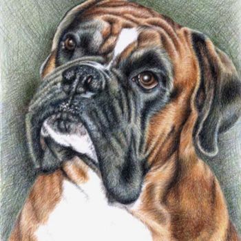 Malerei mit dem Titel "Boxer Balu" von Arts & Dogs, Original-Kunstwerk, Öl