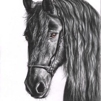 「Friesian Horse」というタイトルの絵画 Arts & Dogsによって, オリジナルのアートワーク, オイル
