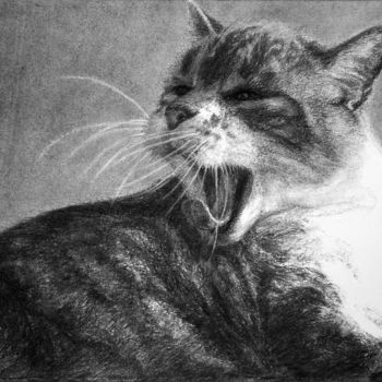 Drawing titled "le chat 1" by Christian Rolland, Original Artwork, Charcoal