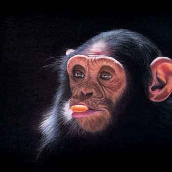 绘画 标题为“sunny monkey” 由Christine Mergnat, 原创艺术品, 粉彩