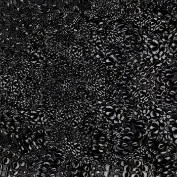 Digital Arts titled "banksia meteore n°1" by Christophe Gueraut, Original Artwork, 2D Digital Work