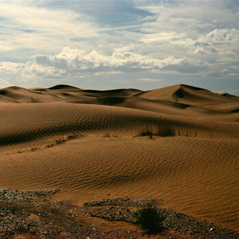 Photography titled "Dunes" by Angie Black, Original Artwork, Digital Photography