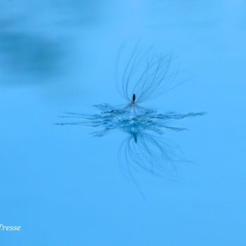 Fotografía titulada ""Danseuse étoile"" por Claire Tresse, Obra de arte original