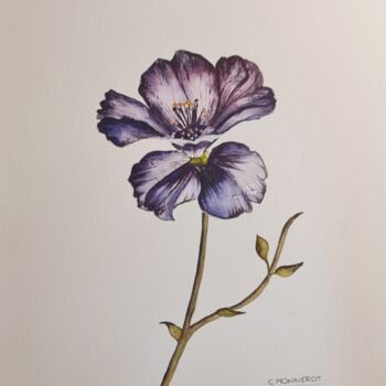 Painting titled "Secret Violet - Ori…" by Clara Monnerot (L'Atelier Clara Del Sol), Original Artwork, Watercolor