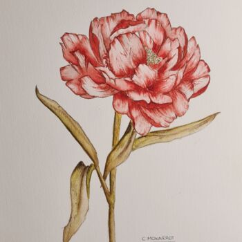 Peinture intitulée "Lucky Peony - Origi…" par Clara Monnerot (L'Atelier Clara Del Sol), Œuvre d'art originale, Aquarelle