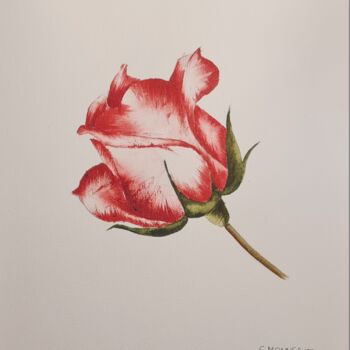 Painting titled "Call me Rose - Orig…" by Clara Monnerot (L'Atelier Clara Del Sol), Original Artwork, Watercolor