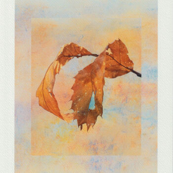 Arts numériques intitulée "feuilles 11" par Claude Huré, Œuvre d'art originale, Photographie numérique