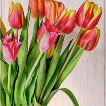 Fotografía titulada "Tulipes" por Dana Berthelot, Obra de arte original, Fotografía digital
