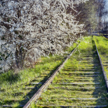 Photography titled "Abandonnée..." by Dana Berthelot, Original Artwork, Digital Photography