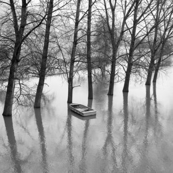 Fotografía titulada "Inondation" por Daniel Sohier, Obra de arte original, Fotografía analógica Montado en Aluminio