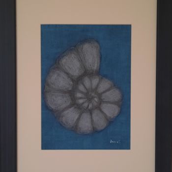 Zeichnungen mit dem Titel "Ammonite, drawing c…" von Daniel Darie, Original-Kunstwerk, Bleistift