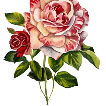 Pittura intitolato "rosa rossa" da Daria Ceppelli, Opera d'arte originale, Acquarello