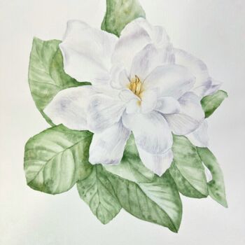 「Gardenia」というタイトルの絵画 Dariia Pavlenkoによって, オリジナルのアートワーク, 水彩画