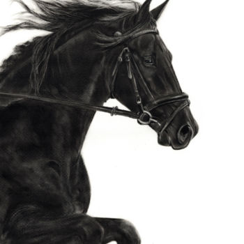 Картина под названием "Oil painting horse…" - Deimante Bruzguliene, Подлинное произведение искусства, Масло