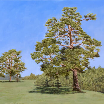 Pintura intitulada "Old Pines" por Dejan Trajkovic, Obras de arte originais, Óleo