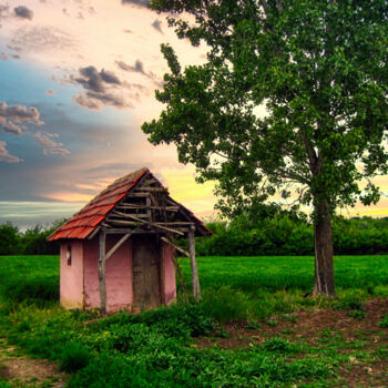 "A hut in the field" başlıklı Fotoğraf Dejan Travica tarafından, Orijinal sanat, Dijital Fotoğrafçılık