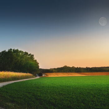 摄影 标题为“Moon in the sunset” 由Dejan Travica, 原创艺术品, 数码摄影