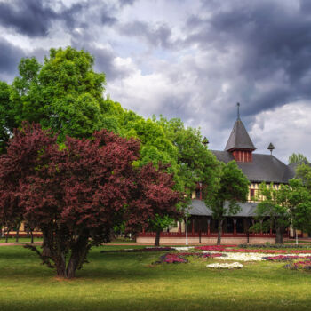 Photography titled "The Great park Palic" by Dejan Travica, Original Artwork, Digital Photography