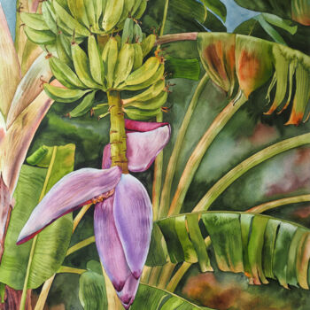 Pintura intitulada "Banana palm" por Delnara El, Obras de arte originais, Aquarela