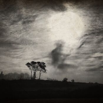 Fotografía titulada "Inner Shadows" por Delphine Margau, Obra de arte original, Fotografía digital