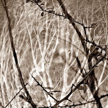 Photographie intitulée "Prison de glace" par Denise Arsac Coustoulin, Œuvre d'art originale, Photographie manipulée