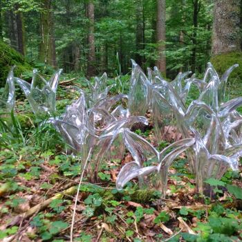 Installation titled "Natura naturans" by Denise Gemin, Original Artwork, Installation Art