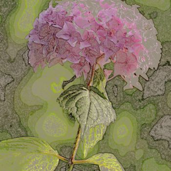 제목이 "La fleur d'hortensia"인 디지털 아트 René Desenne로, 원작, 다른