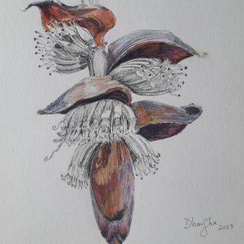 Painting titled "Banana Flower in pe…" by Dharsha Samarasinha, Original Artwork, Ink