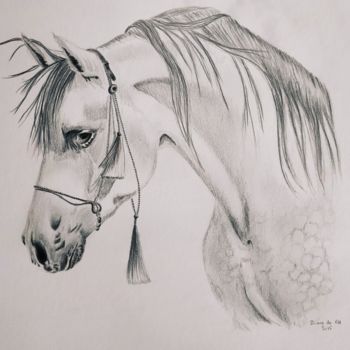 Dibujo titulada "Cheval arabe" por Dianederh, Obra de arte original, Lápiz