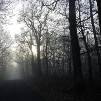 Photographie intitulée "Allée de brouillard" par Didier Cayet, Œuvre d'art originale