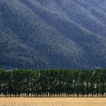 Fotografía titulada "On  the line" por Dimitrios Paterakis, Obra de arte original, Fotografía digital