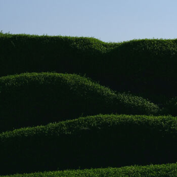 Fotografia intitolato "Levels of green" da Dimitrios Paterakis, Opera d'arte originale, Fotografia digitale
