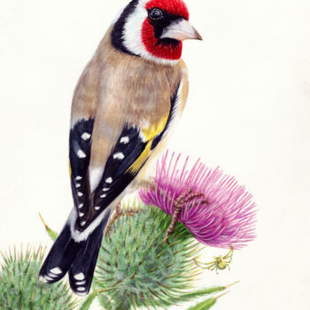Painting titled "A goldfinch on a th…" by Dmitrii Kastalskii, Original Artwork, Watercolor
