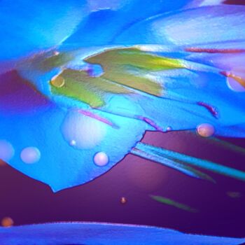 Arts numériques intitulée "Blue lily" par Dmitry Oleynik, Œuvre d'art originale, Travail numérique 2D