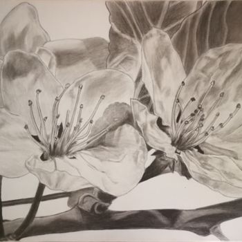 Drawing titled "Les deux fleurs cer…" by Mélanie Cavalec, Original Artwork, Pencil