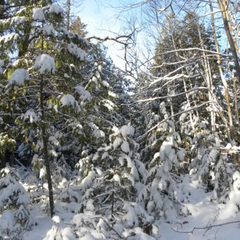 Fotografia intitulada "Snowy Landscape Min…" por Doug Dunigan, Obras de arte originais, Fotografia digital