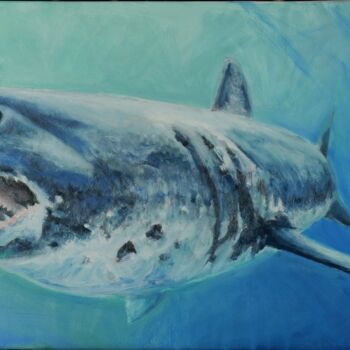 Malarstwo zatytułowany „Shark 20773” autorstwa Duilio Forte, Oryginalna praca, Olej