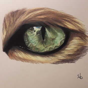 Dessin intitulée "Oeil de chat" par Eberry, Œuvre d'art originale, Crayon
