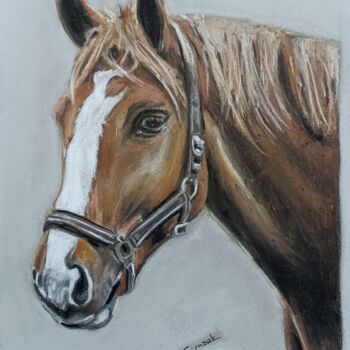 Drawing titled "Horse" by Ebru Süsoy Şimşek, Original Artwork, Chalk