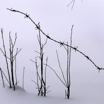 Photographie intitulée "11-winter-egils-spu…" par Egils Spuris, Œuvre d'art originale