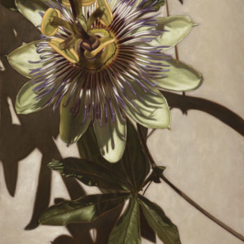제목이 "Passiflora.jpg"인 미술작품 Eleonora Gushchina로, 원작, 기름