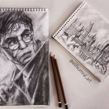 Disegno intitolato "harry potter" da Elif Kumral, Opera d'arte originale, Carbone