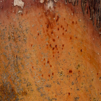 Photographie intitulée "tronc orange.jpg" par Elisabeth Laplante, Œuvre d'art originale, Photographie numérique