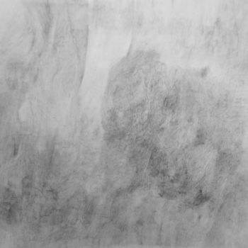 「murmures de peau.jpg」というタイトルの描画 Elisabeth Laplanteによって, オリジナルのアートワーク, 鉛筆