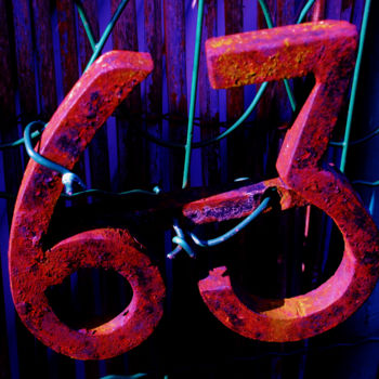 Fotografia intitolato "63" da Elise Vincent, Opera d'arte originale, Fotografia digitale