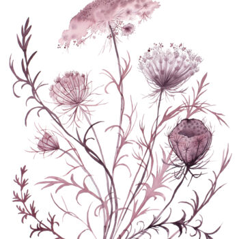 Pintura titulada "Queen Anne's Lace N…" por Elizabeth Becker, Obra de arte original, Acuarela