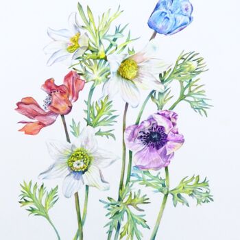 Malarstwo zatytułowany „Poppy Anemone Flowe…” autorstwa Elizabeth Sadler, Oryginalna praca, Akwarela